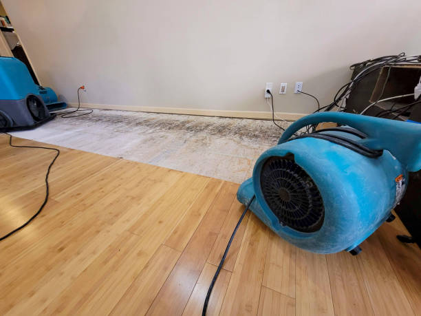 Professional Water Removal technician working in Horton, AL